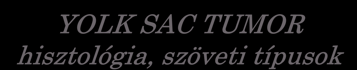 YOLK SAC TUMOR hisztológia, szöveti típusok Klasszikus: