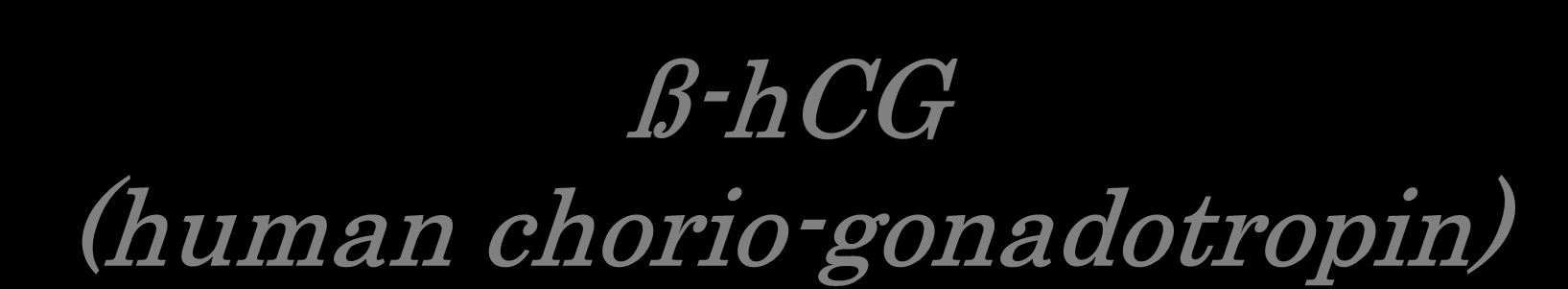 ß-hCG (human chorio-gonadotropin) Glikoprotein hormon Syncytiotrophoblastok termelik (placenta, vagy trophoblast tumorok) Αz α alegység