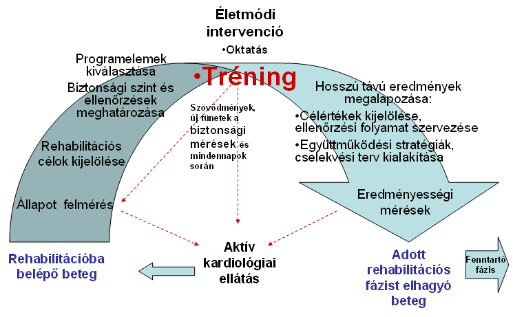 Ellátás formája Fekvő Amb Nappali ellátás Civil szerveződés Ambuláns ellátás Nincs további rehab igény Civil szerveződés?