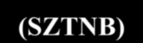 V/2b. Szoptatást Támogató Nemzeti Bizottság (SZTNB) 2005. SZTNB újraalakulása Egészségügyi Minisztérium, WHO, UNICEF, Országos Gyermekegészségügyi Intézet szervezésében.