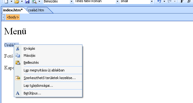 A háttérképet be lehet szúrni, ami mozaik elrendezéső alaphelyzetben, elıre le van mentve a forrásanyagok közzé. Minden szöveget pontosan úgy kell formázni, mint a Wordben.