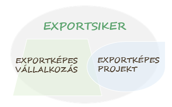 Egy adott célpiacon a kitűzött exportcél megvalósításáig vezető utat projektnek tekintjük. A projektszemlélet előnye, hogy a folyamat könnyebben tervezhető, áttekinthető és értékelhető.
