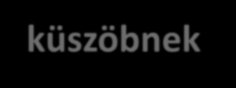 Családi támogatás Megélhetési stratégiák Nem egészít ki (25%) Nem elegendő Elegendő = a rel.