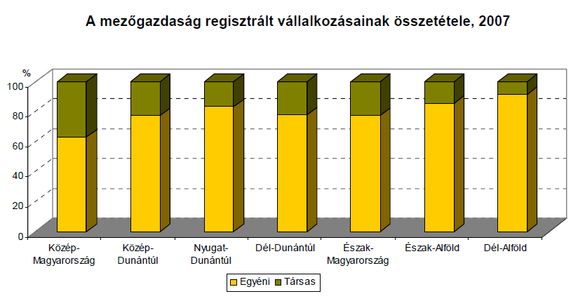 Magyarországon a 2009-ben regisztrált 410 ezer vállalkozásból, 395 ezer egyéni vállalkozás. 2007-ben 68 947 egyéni vállalkozóról számol be a KSH jelentés (KSH, 2009).