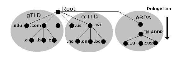 nslookup nslookup A DNS szerverek lekérdezésére használjuk Létezik interaktív és nem interaktív üzemmódja Példák: nslookup www.yahoo.com nslookup query=mx cs.cornell.