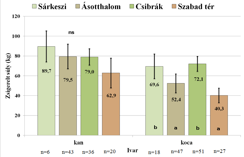 területi kanok súlya volt kevesebb, a zárt kertekben lőtt kanok zsigerelt súlya minden esetben meghaladta a lengyelországi értékeket.