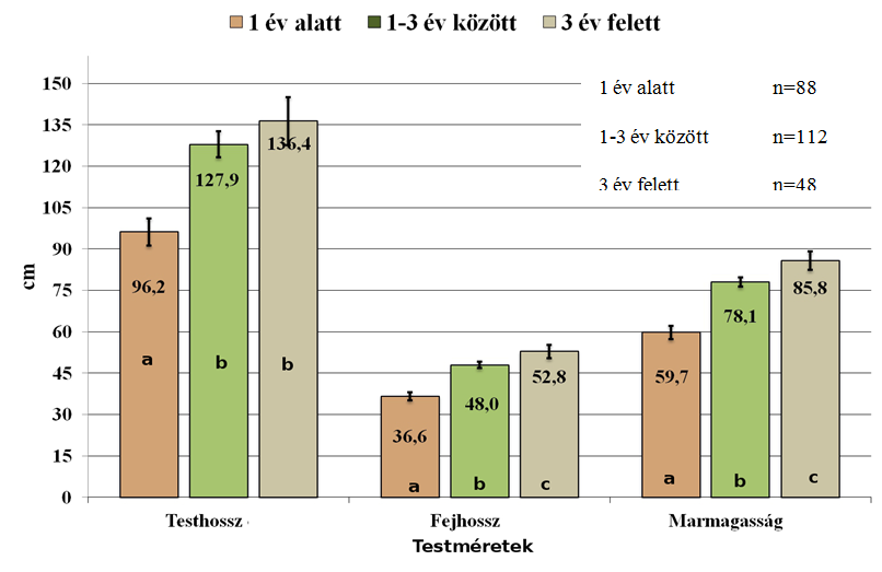10. ábra: A felvett testméretek korcsoportok szerint A testméreten belül az eltérő betűk szignifikáns eltérést jelölnek (p<0,05).