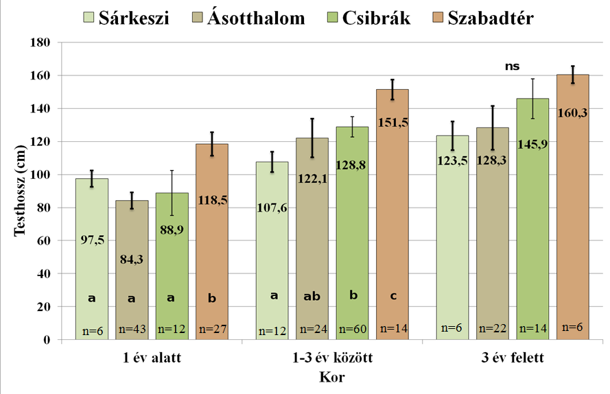 Az egy év alatti korcsoport átlagos testhosszáról megállapítottuk, hogy a zárt kertekben lőtt példányok esetén nem volt statisztikailag kimutatható különbség kertek szerint (12. ábra).