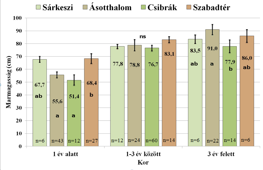 Ugyanez a különbség megjelenik a testhossz fejhossz arányában is: a Sárkesziben és az Ásotthalmon lőtt állatok feje hosszabb, törzse rövidebb, mint a csibráki és a szabad területi vaddisznóké.