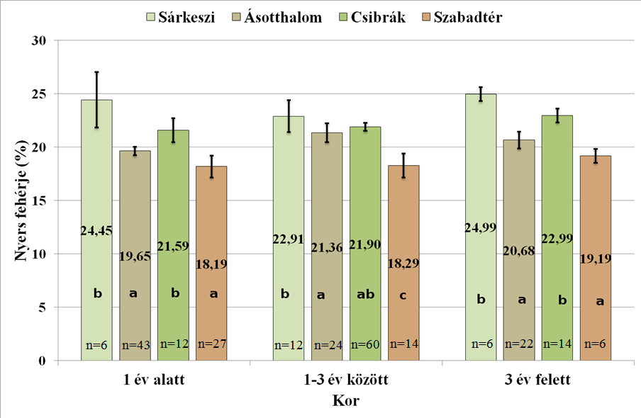 19. ábra: A húsok átlagos szárazanyag tartalma területek szerint A korcsoporton belül az eltérő betűk szignifikáns eltérést jelölnek (p<0,05).
