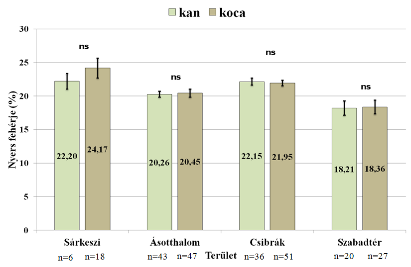 Munkánk folytatásaként összehasonlítottuk az eltérő ivarba tartozó vaddisznók húsának beltartalmi értékeit.