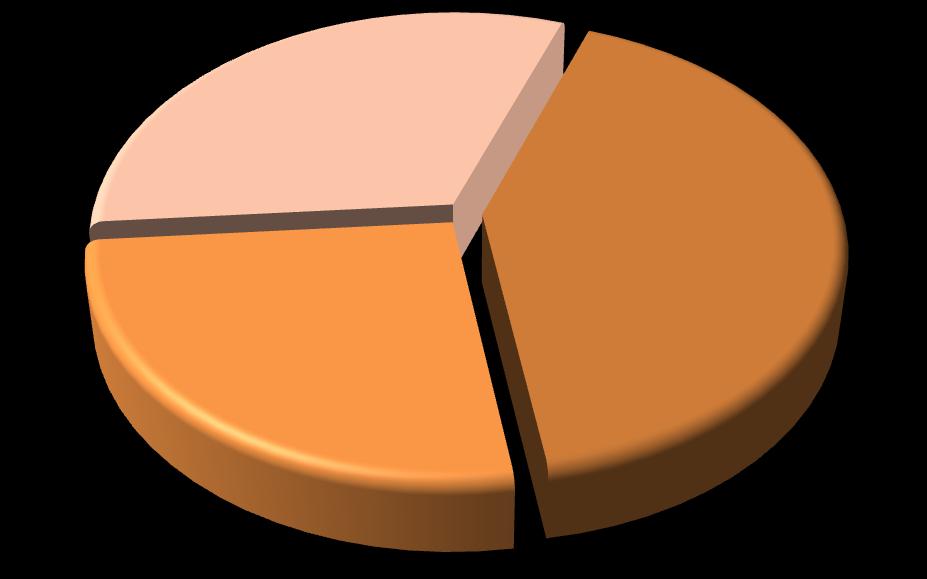 45. ábra: A minta megoszlása a végzés éve szerint (%) 2009-ben végzett; 31,8 2005-ben végzett; 42,0 2007-ben végzett; 26,2 Forrás: Diplomás Pályakövetés ZSKF 2010. Tavasz.