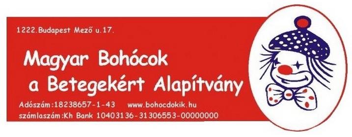 MAGYAR BOHÓCOK A BETEGEKÉRT ALAPÍTVÁNY 1222 Budapest, Mező u. 17. 2010. évi Közhasznúsági jelentése Tartalma: 1. SZÁMVITELI BESZÁMOLÓ / 1sz. melléklet/ 2. KÖLTSÉGVETÉSI TÁMOGATÁS FELHASZNÁLÁSA / 2sz.