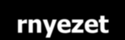 A TIR felhasználói környezete Irányító a Környezetvédelmi és Vízügyi Minisztérium (Természetvédelmi szervezeteknek) Természetvédelmi Hivatala (TvH) Középirányító az Országos