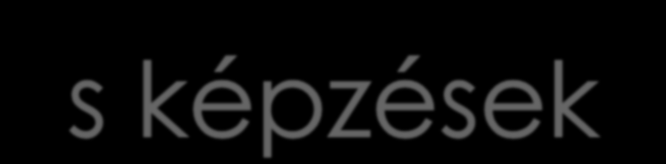 2011. január Szociális gondozó és ápoló Hospice szakápoló Tervezett: Fogyatékos