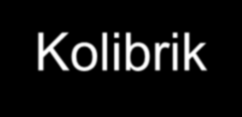 Kolibrik