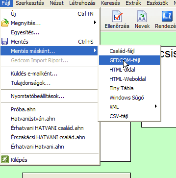 Ennek a cikknek nem célja, hogy az Ahnenblatt program kezelését elmagyarázza. A program kezelése nagyon logikus es egyszerű, egy rövid kísértetezés után, mindenki rájön, a legfontosabb funkciókra.