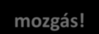 Adatintegrációs folyamat bemutatása Adatok összekapcsolása HASH-AZONOSÍTÓK alapján N A V (APEH) F I R (minta+tanulm adatok) ALGORITMUS MINTA + TAN.