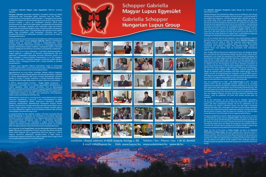 Összefoglaló a 2010. évi tevékenységéről 16.
