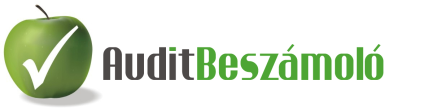 FELHASZNÁLÓI LEÍRÁS az AuditBeszámoló