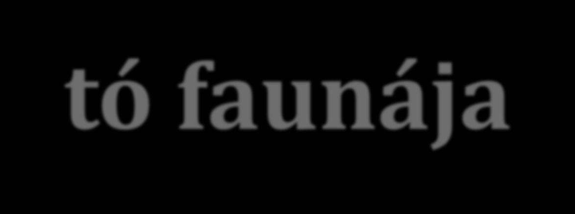 faunája