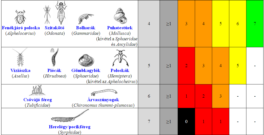 Biotikus index kiszámítása A biotikus index meghatározása a szabványos BISEL-táblázat alapján történik, amely két nagyobb függőleges egységet tartalmaz, egyet az előfordult taxonok érzékenysége,
