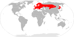 Közönséges vízicickány (Neomys fodiens) Európában és Ázsiában