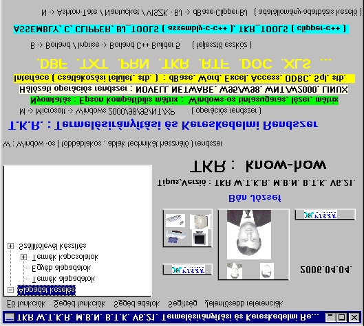 - 6 - pl. 01 - Számlázó és Nyugtakészítı R. 02 - Raktári és Kereskedelmi R. 03 - Termelésirányítási és Ker. R. 04 - Interface 05 - TKR program - rendszer 06 - TKR adat - kapcsolat 07 - Vállalatirányítási rendszer 99 - TKR Szolgáltatás ( VISZK Bt.