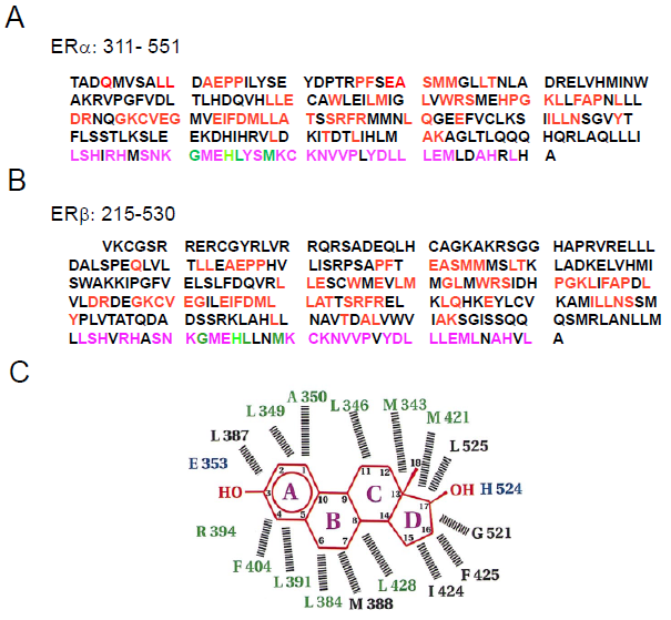 14. ábra. Az ERα (A) és ERβ (B) ligandum kötő zsebének aminosav szekvenciája.