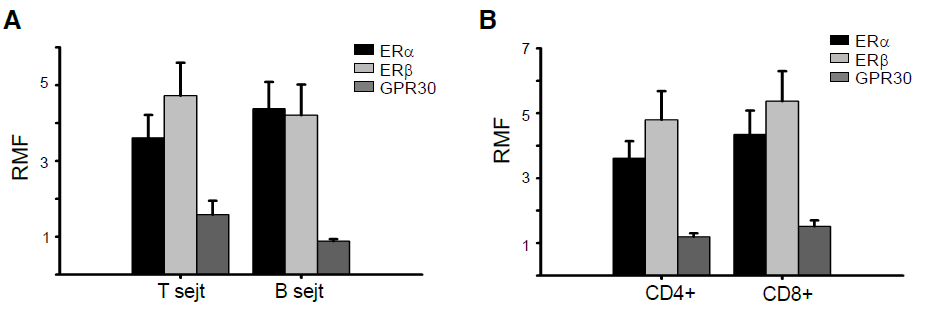A klasszikus receptorok és a GPR30 expressziós mintázatát is összehasonlítottuk a kölünböző sejtpopulációkon belül.