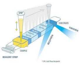 A pipettahegy (SPR) felülete specifikus monoklonális antitesttel bevont, s egyben pipettázó funkciót is ellát. www.
