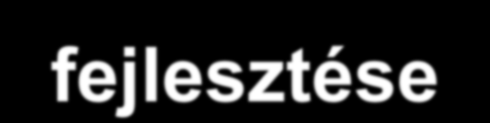 Szükségesé vált a borturizmus fejlesztése Borértékesítés helyben történjen Turisztikai vonzerő növelése,
