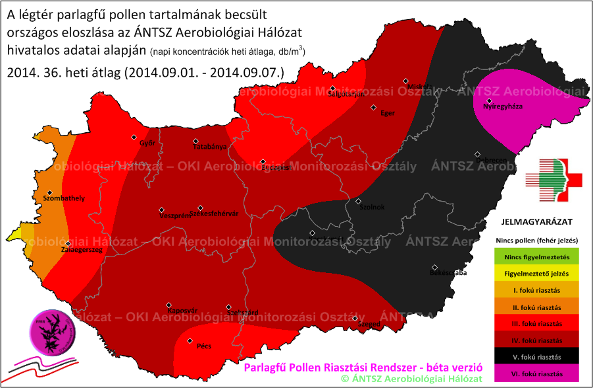 8. ábra: A 2013-es és 2014-as parlagfű szezon csúcsidőszakok összehasonlítása a 34-36. hetekben a PPRR által mutatott értékek alapján A 2014.