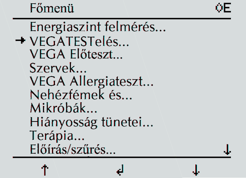 FUNKCIÓ ÉS MŰKÖDÉS Energiaszint felmérése Időspórolás irányított diagnosztizálással Az energiafelmérés teljesen automatikus sorrendje olyan felmérő képességet ad a VEGATEST expertnek, mely