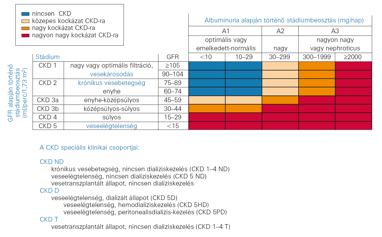 A krónikus vesebetegség prognózisa a GFR és