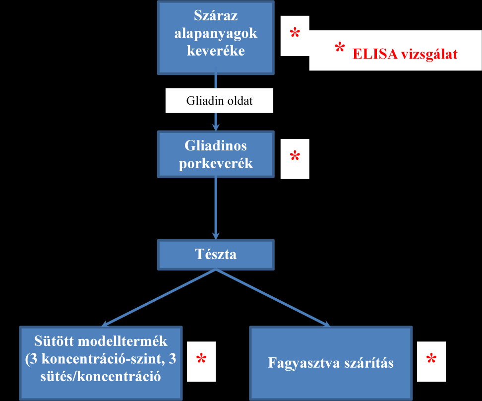 19. ábra: A glutén referencia anyag fejlesztésének és vizsgálatának kísérletterve 4.2.