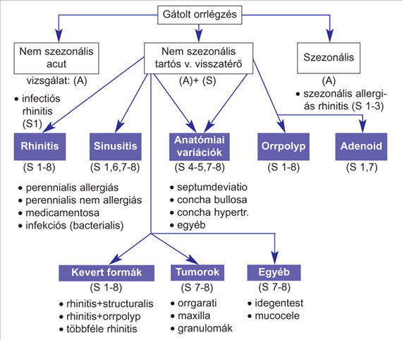 AZ ORR ÉS ORRGARAT MEGBETEGEDÉSEI IgE vizsgálat (serum, orrváladék) (S2): össz-ige, specifikus IgE Nasalis provokációs teszt (S3) Nasalis légzésfunkció (S4): rhinomanometria; csúcsáramlásmérés (NPIF)