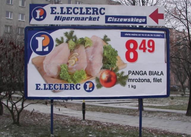 1000 tonna A pangasius Lengyelországban 90 80 70 60 50 40 30 20 10 0