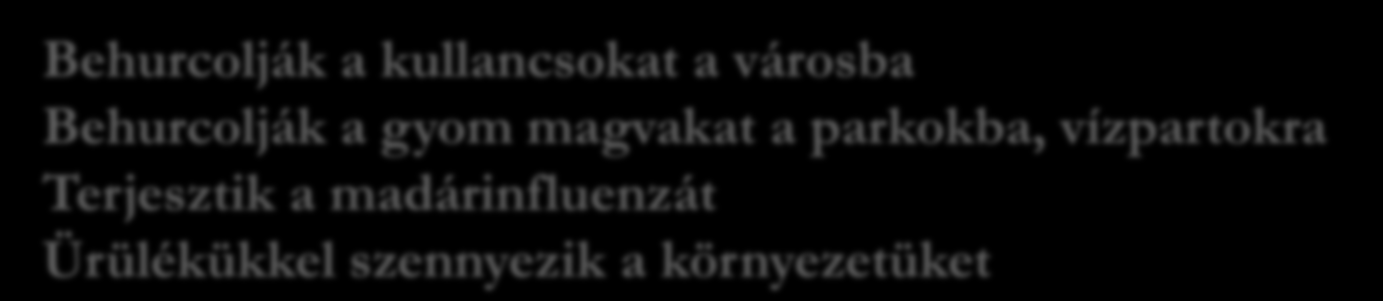 parkokba, vízpartokra Terjesztik a