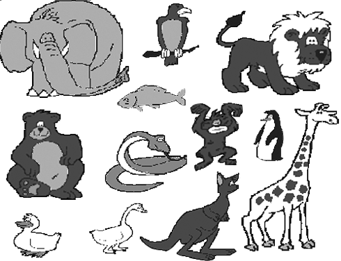 Öt kontinens állatai Könyvtári levelezős játék 3-6.