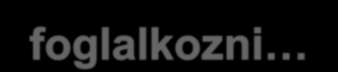 SALESMAX A GYAKORLATBAN Human Development Team - www.hdteam.