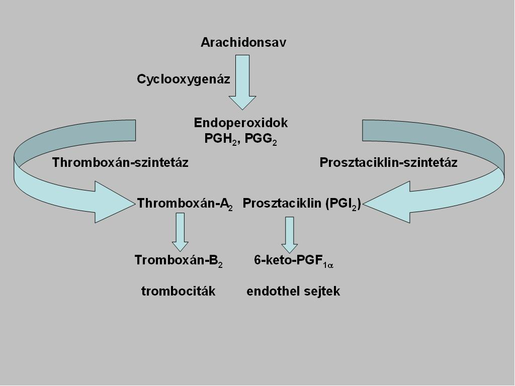 vegyülete. Az egyensúly megbomlása és eltolódása a TXA 2 irányába az endothel diszfunkció egyik oka, mely által az endothel protrombotikus fenotípusa alakul ki. 1.