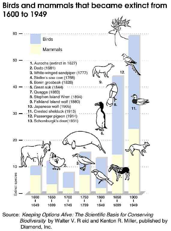 Kulcsproblémák Fajkihalások Az IUCN Vörös listáján szereplő