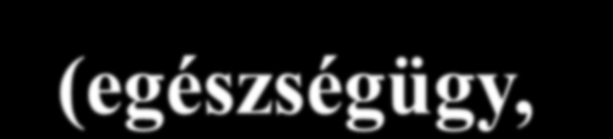 Konklúziók A vajdasági polgárok magatartását befolyásoló tényezők: 1. Gazdasági tényező (pénztelenség (hitelek), munkahely, privatizáció, életszínvonal) 2.