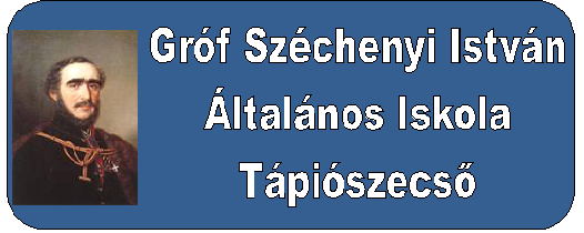 Iskolai Sportkör szakmai programja 2010-2011.