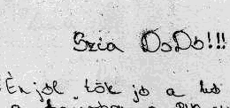 10. Oválba vágó, vagy ahhoz közeli ékezetek 11. Álló, vagy balra dõlõ írás 12. Kis írásnagyság / apróbetûs írás / 13. Az m és n betûknél szöges árkád, vagy szöges girland a ductus 14.