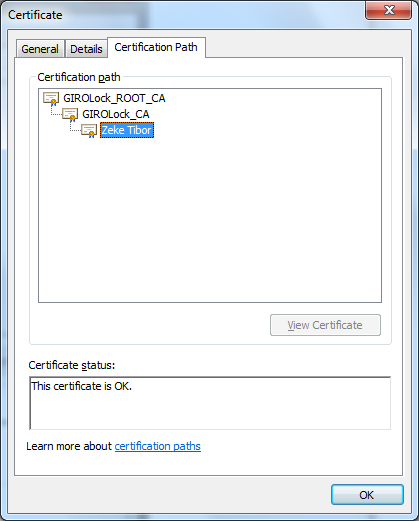 8. capicom.dll (Verzió: 2.1.0.2) telepítése, regisztrálása A csatolt állományt bemásolni a WINDOWS\System32 könyvtárba.