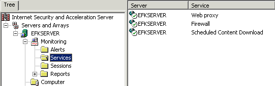 Proxy Firewall