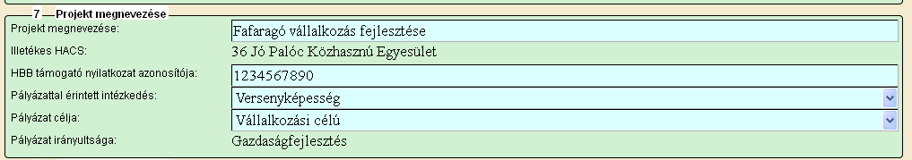 Pályázat kitöltése FIGYELEM! Az alábbiakban az egyes mezőkbe beírt adatok kizárólag csak a felület bemutatását szolgálják, nincsenek összefüggésben az egyes jogcímeknél támogatható tevékenységekkel.