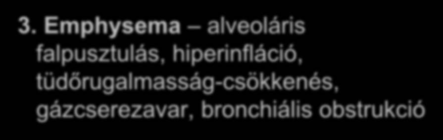 3. Emphysema alveoláris